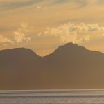 IMG_6726